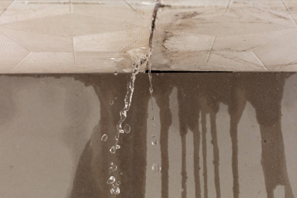 Professional Structural Drying technician working in Livermore, ME